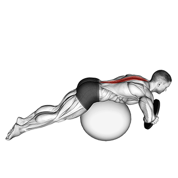 Hyperextension lestée sur ballon de stabilité